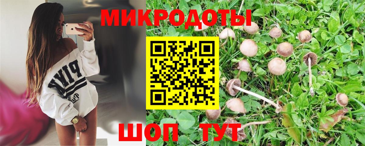 Балахна  Галлюциногенные грибы мицелий  Вход с VPN  Псилоцибиновые грибы MAGIC MUSHROOMS 